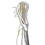 Warrior Women's Wicked Stick SKY