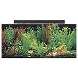 SeaClear Rectangular Aquarium Combo