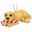 Big Sky Carvers Yellow Lab with Candy Cane Ornament