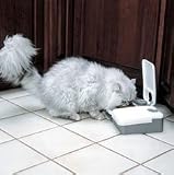 2-Meal Pet Feeder