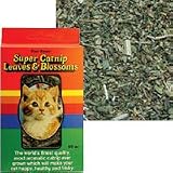 Super Catnip - Leaves Blossoms - 0.5 oz.