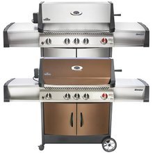 Natural Gas Napoleon Grills Stainless Steel