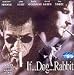 If...Dog...Rabbit