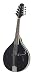 Johnson MA100 Lynchburg Mandolin, Black