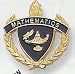 Mathematics Lapel Pins (10-Pack)