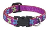 Lupine Small Dog Collar - Wing It 8-12