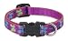 Lupine Small Dog Collar - Wing It 8-12