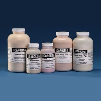 Potato Dextrose Agar,