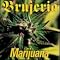 listen to stoned songs