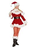 Miss Santa Adult Holiday Sexy Party Outfit Holiday Womens Costume