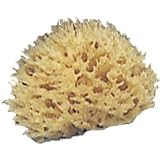 Natural Bath Sponge - 2 Pack