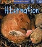 Hibernation (Nature`s Patterns)