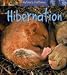 Book Hibernation (Nature's Patterns)