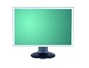 Fujitsu Siemens Scaleoview L20W-1 50,8 cm (20 Zoll) Wide Screen TFT Monitor silber/schwarz (Kontrast 800:1, 5 Ms Reaktionszeit)