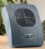Ionic Air Purifier