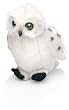 Snowy Owl