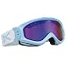 Sporting Goods : ANON MAJESTIC GOGGLE 2008 LT BLUE FRAME BLUE MIRROR LENS