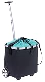 Produkt-Bild: Reisenthel BA 0513 Carrycruiser schwarz / t&uuml;rkis