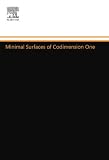 Minimal Surfaces of Codimension One