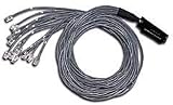 Cables to Go Telco 180 To Hydra - Network cable - RJ-21 Telco (M) - RJ-45 (M) - 10 ft - ( CAT 5 ) - white