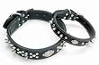 Coastal Harley-Davidson Leather Spiked 3/8in Dog Collar