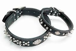 Coastal Harley-Davidson Leather Spiked 3/8in Dog Collar