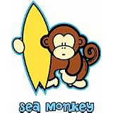 Sea Monkey Youth Sweatshirt