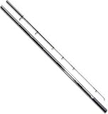 ダイワ(Daiwa) ロングビームT (浜スペシャル) 530I-HS 05265940