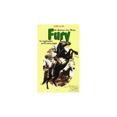Fury - Der Landstreicher [VHS]