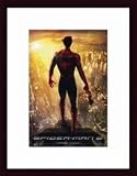 Spider-Man 2, Art Poster with Wood Frame, poster size: 11