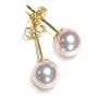 6mm Collection Quality Japanese Akoya cultured pearl earring studs set in 18K yellow gold