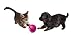 D&D Dog and Cat Toy Adventure Magic Ball, 8cm, Lilac