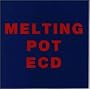 MELTING POT(�����e�B���O�E�|�b�g)