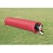 PetSafe Agility 10' Open Tunnel