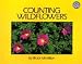 Counting Wildflowers