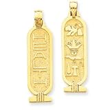 14k Reversible Health Charm - Measures 35.9x21.3mm