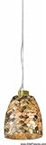 IMAGE OF Varaluz Lighting 162M01AC Sustainable Shell Varaluz Naturals Pendant - Aircraft Cable w/ Black Mother of Pearl Gold Dust