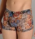 Papi Cool 2 Tattoo Mesh Trunk (688508)