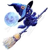 Kitten Witch Youth Sweatshirt