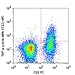 506308 - Size : 100 micrograms - Anti-TNF-a Rat Monoclonal Antibody (APC (Allophycocyanin)) [Clone: MP6-XT22] - Each (100micrograms)