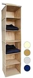 6 Shelf Hanging Closet Organizer