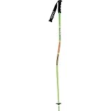 Scott WC GS Junior Race Ski Poles 2011
