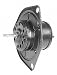 Automotive : Four Seasons 35375 Blower Motor