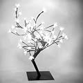 White LED Bonsai Tree | Bonsai Tree Lamp, Table Lamp, White Mood Lighting
