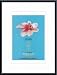 Magnolia, Art Poster by Unknown Artist, with Metal Frame, poster size: 11