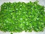  : Cress Organic Sprouting Seeds 1 Pound