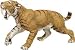 Toys : Prehistoric Life Smilodon
