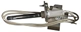 Nordyne 903110A Ignition Assembly with Plug