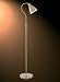 Kitchen & Housewares : 5026 Floor Lamp (Pre Order) Antique Brass (5026AB)