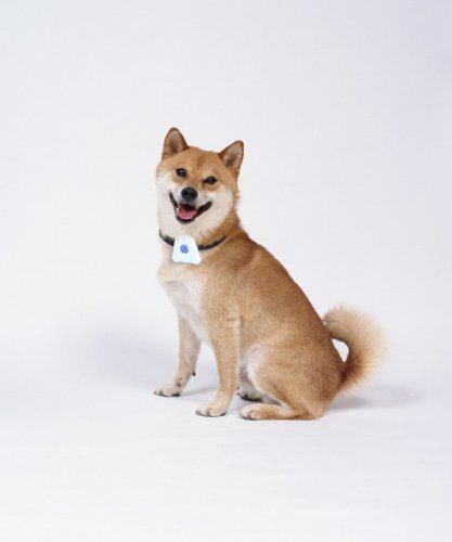 Ultrasonic Electric Pet Control No Bark Dog Training Collar Device